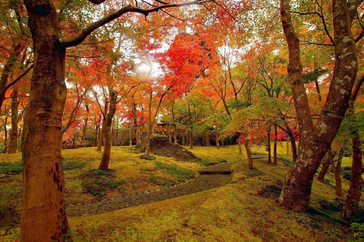 Jemsty Inn Hakone Ashinoko Eksteriør billede
